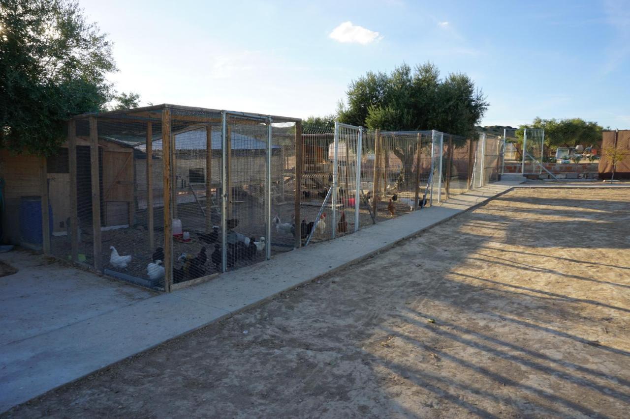 Cuchi Farm Vila Chinchón Exterior foto